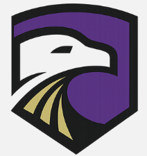 NDS eagle shield logo